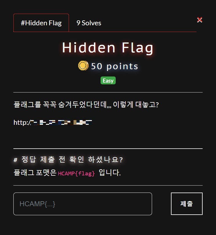 Hidden Flag / CTF wirte_up